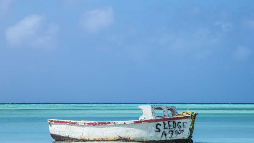 Rivermate | Aruba