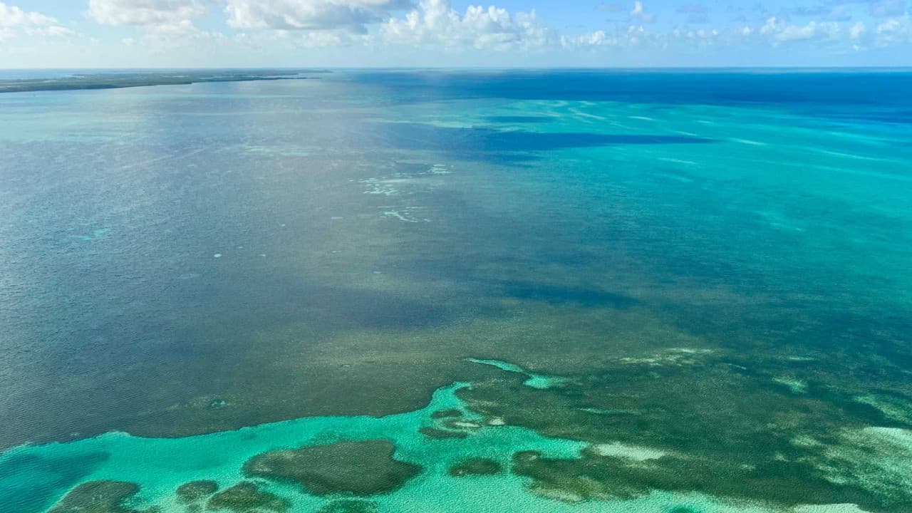 Bahamas hiring guide