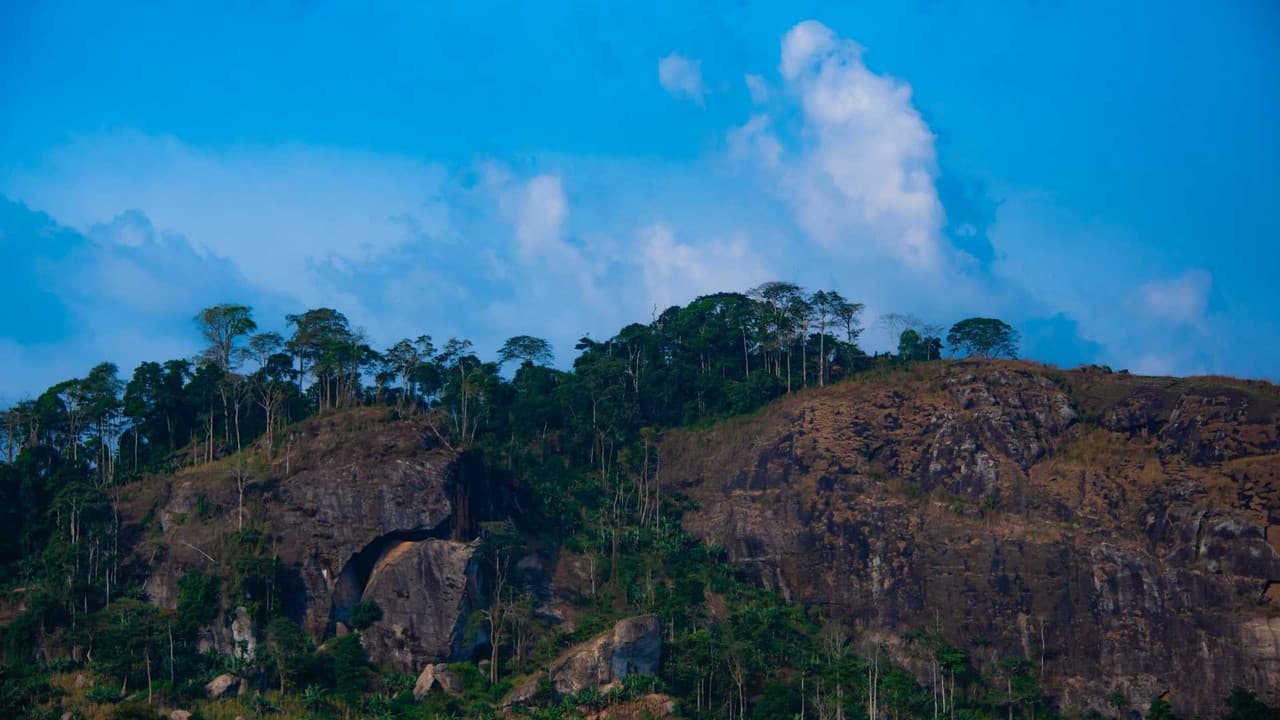 Cameroon hiring guide