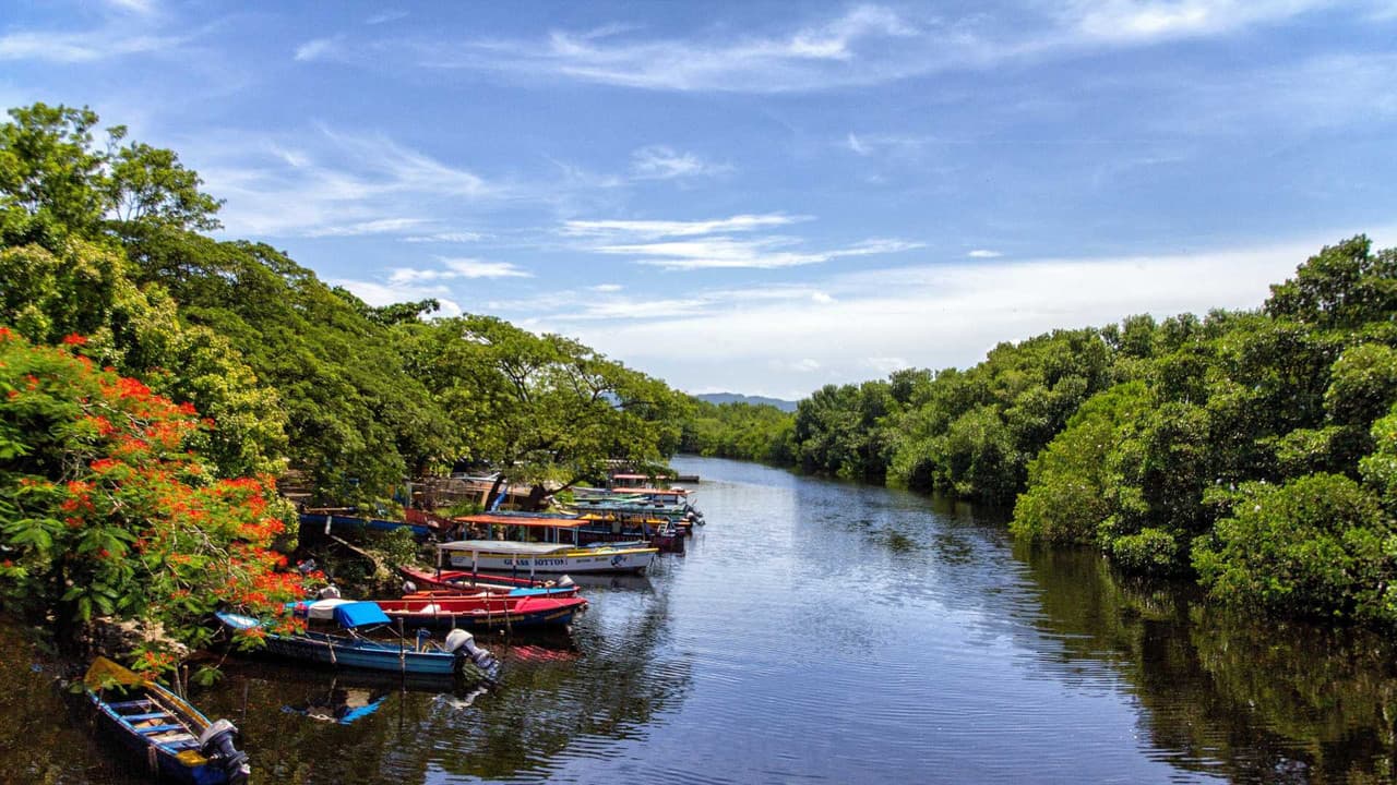 Jamaica hiring guide