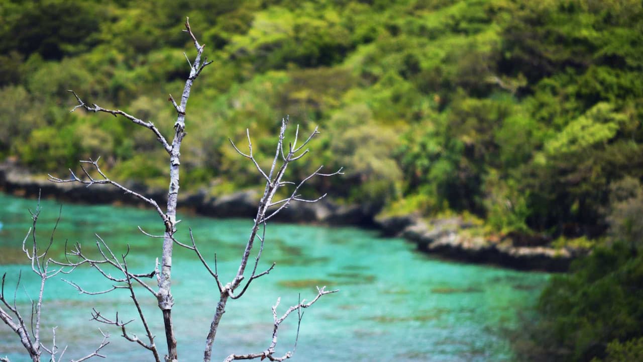 New Caledonia hiring guide