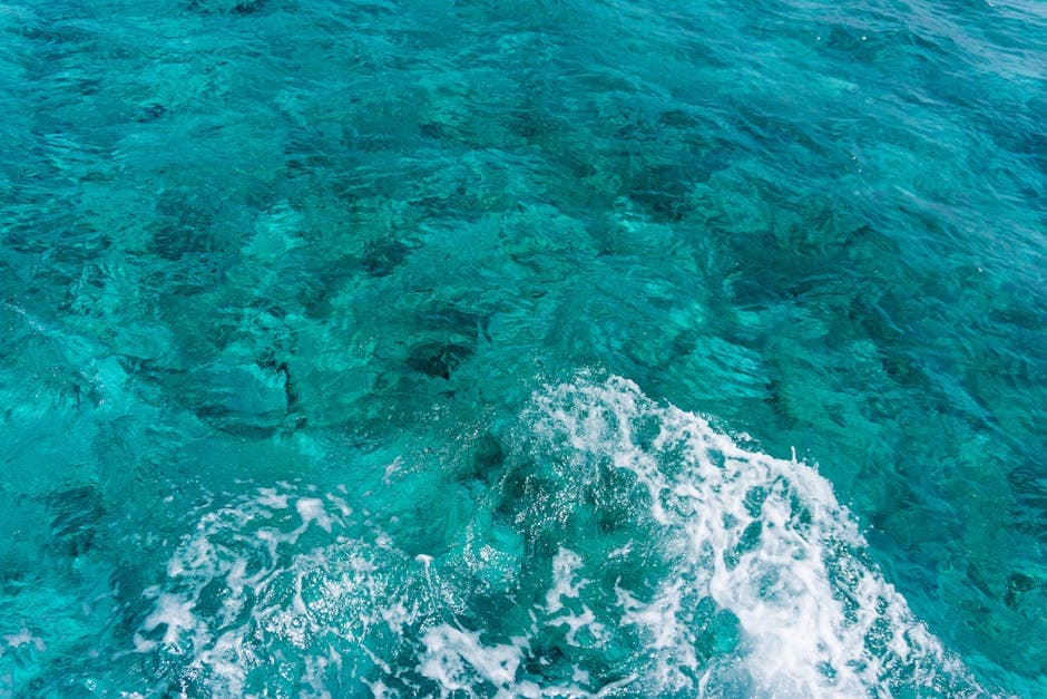 Cayman Islands featured