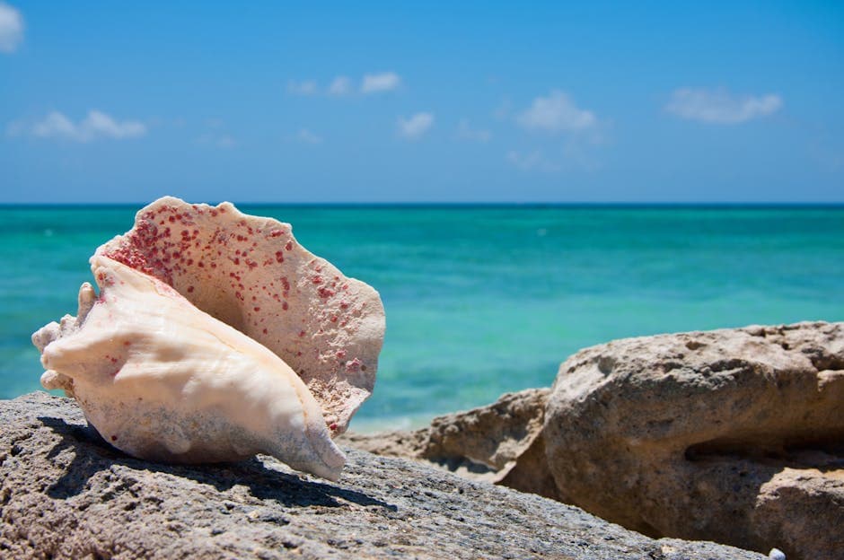 Turks and Caicos Islands featured