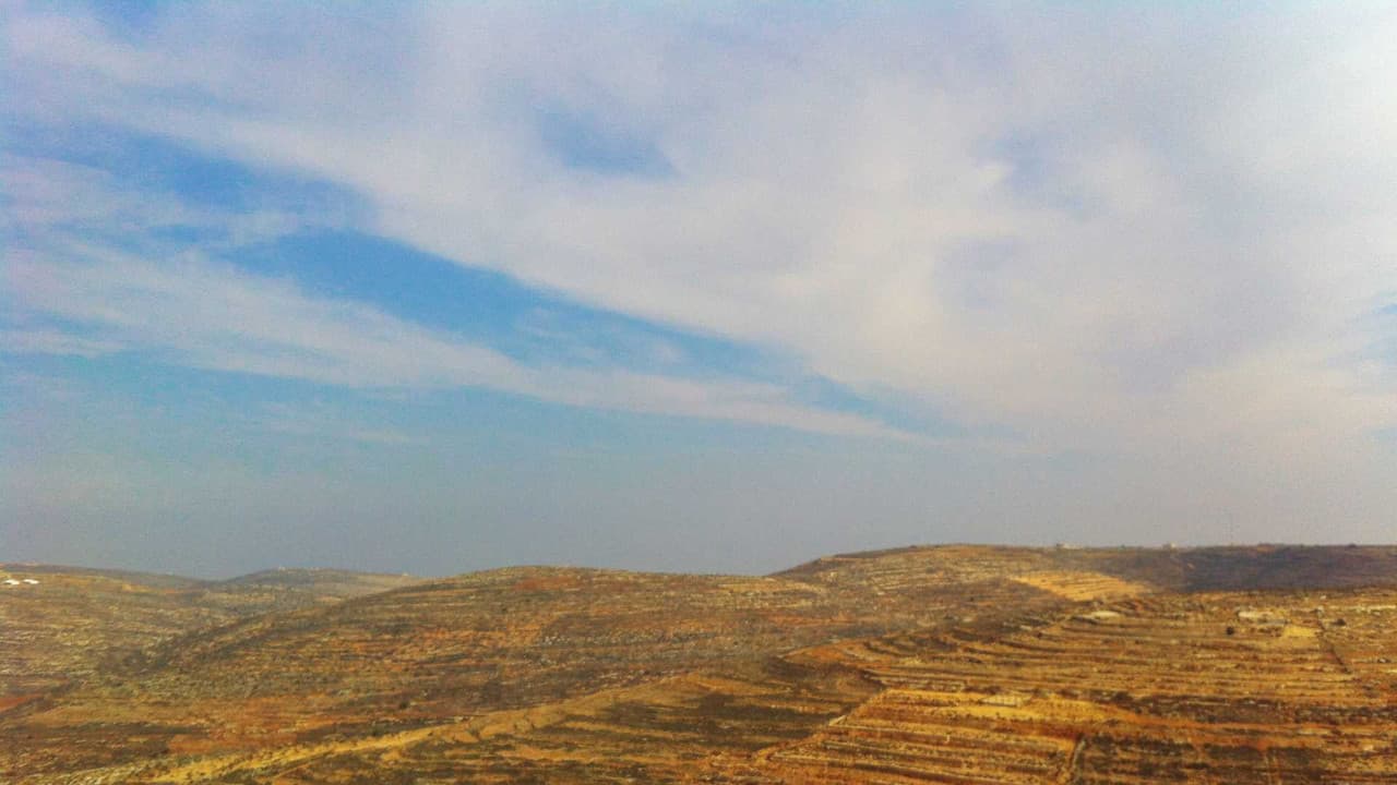 Palestina hiring guide